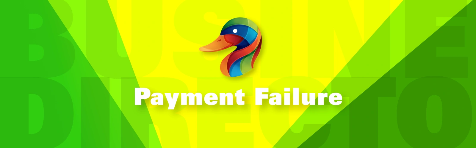 Payment failure message displayed on screen indicating a transaction error.